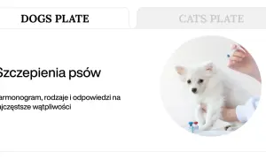 Szczepienia szczeniaka: weterynarz podaje zastrzyk białemu, puszystemu psu. Obok stoją fiolki z lekami.