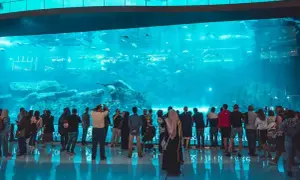 Oceanarium w Dubaju - atrakcje, ceny biletów i godziny otwarcia