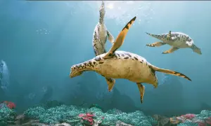 Oceanarium Małopolska - atrakcje, godziny otwarcia i wyjątkowe doświadczenia