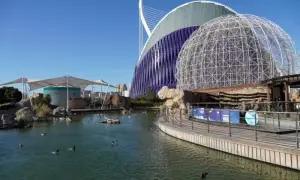 Oceanarium Walencja – Czego nie przegapić i jak zaoszczędzić na biletach