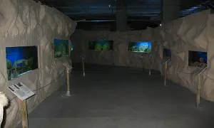 Oceanarium Warszawa - Gdzie zobaczyć morskie atrakcje i wystawy?