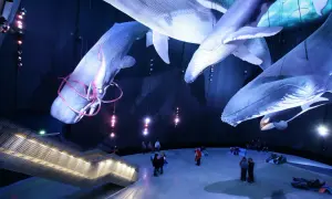 Kołobrzeg atrakcje dla dzieci: oceanarium, które zachwyci maluchy