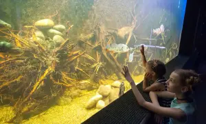 Oceanarium Zagnańsk - poznaj wyjątkowe atrakcje i godziny otwarcia