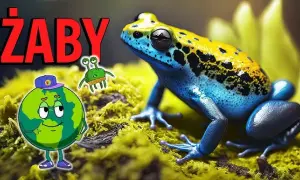 Jak żaby się rozmnażają? Zaskakujące fakty o ich reprodukcji