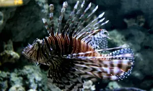 Oceanarium Lublin – wyjątkowe atrakcje, godziny otwarcia i ceny biletów