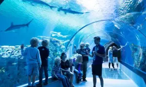 Oceanarium Bydgoszcz - co warto zobaczyć i dlaczego nie przegapić