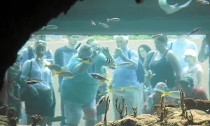 Ludzie oglądają ryby w oceanarium Kraków. Kolorowe ryby pływają w akwarium, a zwiedzający przyglądają się im z zaciekawieniem.