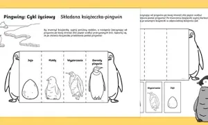 Jak rozmnażają się pingwiny? Zaskakujące fakty o ich cyklu życia