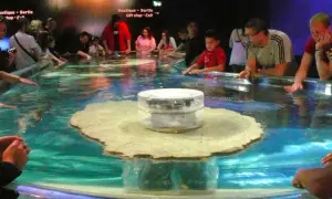 Oceanarium w Monako: Fascynujące wystawy i atrakcje, które musisz zobaczyć