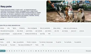 Cztery psy, w tym husky, siedzą na chodniku. Szukasz najinteligentniejsze psy? Znajdź idealnego towarzysza.