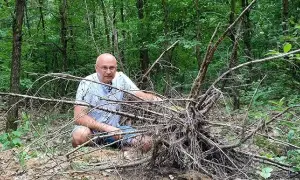 Skąd wziąć korzeń do akwarium? Odkryj najlepsze źródła i metody