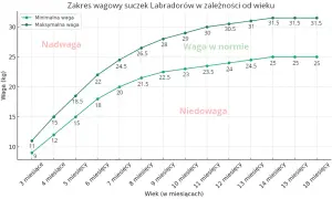 Wykres pokazuje zakres wagi suczek labradora od 3 do 18 miesięcy. Waga w normie dla labradora jest zaznaczona zielonym kolorem.