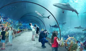 Największe oceanarium w Polsce Łódź – odkryj niezwykłe atrakcje