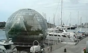 Oceanarium w Genui: Fascynujące zwierzęta i praktyczne porady dla odwiedzających