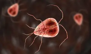 Mikroskopowy obraz lamblii, pasożyta wywołującego problemy żołądkowe u psów.