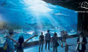 Ludzie podziwiają rekiny i płaszczki w ogromnym akwarium w oceanarium Nautilus Gdańsk.