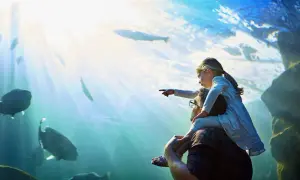 Oceanarium Berlin: Niezwykłe atrakcje i tajemnice nowego akwarium