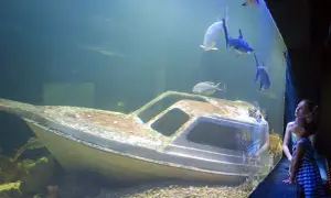 Oceanarium Świętokrzyskie - co warto zobaczyć i jak się przygotować