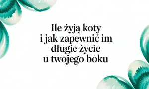 Ile żyją koty po sterylizacji? Dowiedz się, jak zapewnić im długie życie u Twojego boku.