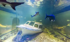 Oceanarium Kielce - Ciekawe atrakcje, godziny otwarcia i ceny biletów