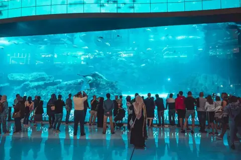 Oceanarium w Dubaju - atrakcje, ceny biletów i godziny otwarcia