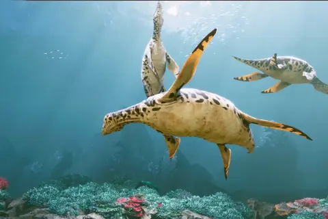 Oceanarium Małopolska - atrakcje, godziny otwarcia i wyjątkowe doświadczenia