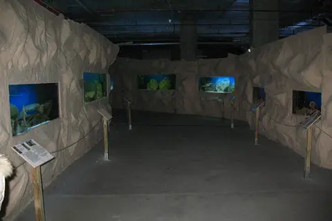 Oceanarium Warszawa - Gdzie zobaczyć morskie atrakcje i wystawy?