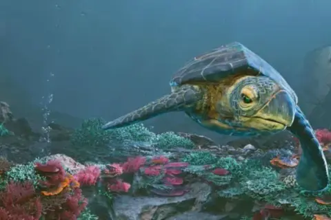 Bałtów Oceanarium – atrakcje, ceny biletów i godziny otwarcia