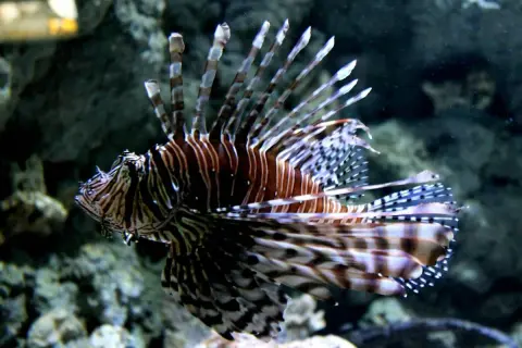 Oceanarium Lublin – wyjątkowe atrakcje, godziny otwarcia i ceny biletów