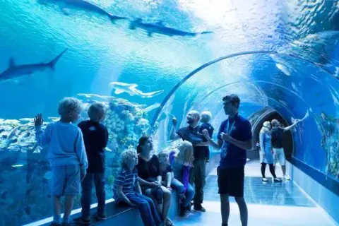 Oceanarium Bydgoszcz - co warto zobaczyć i dlaczego nie przegapić