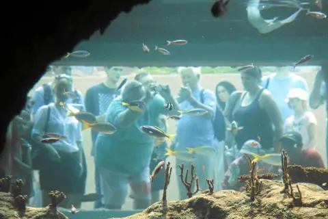 Ludzie oglądają ryby w oceanarium Kraków. Kolorowe ryby pływają w akwarium, a zwiedzający przyglądają się im z zaciekawieniem.