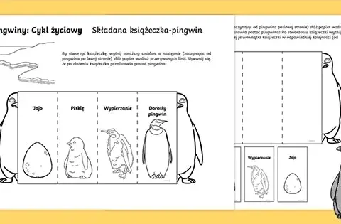 Jak rozmnażają się pingwiny? Zaskakujące fakty o ich cyklu życia