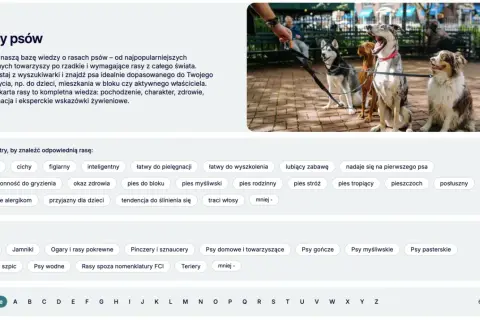 Cztery psy, w tym husky, siedzą na chodniku. Szukasz najinteligentniejsze psy? Znajdź idealnego towarzysza.