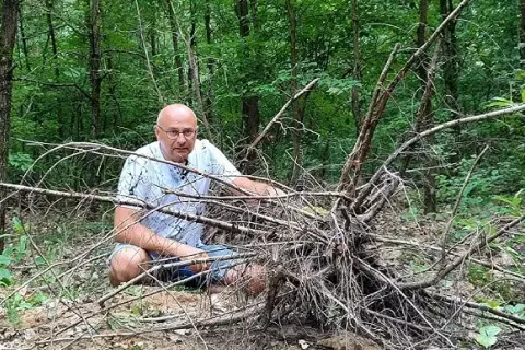 Skąd wziąć korzeń do akwarium? Odkryj najlepsze źródła i metody