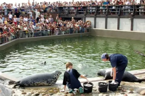 Oceanarium Hel - Fascynujące atrakcje i godziny otwarcia fokarium