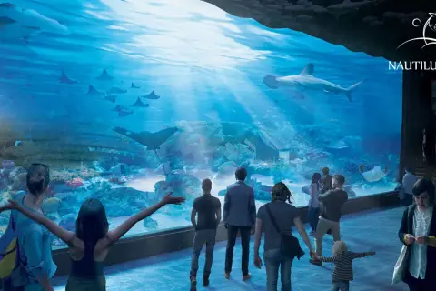 Ludzie podziwiają rekiny i płaszczki w ogromnym akwarium w oceanarium Nautilus Gdańsk.