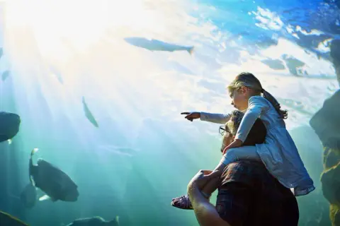 Oceanarium Berlin: Niezwykłe atrakcje i tajemnice nowego akwarium