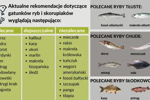 Jakie rybki dla dziecka wybrać? Bezpieczne opcje dla zdrowia i radości