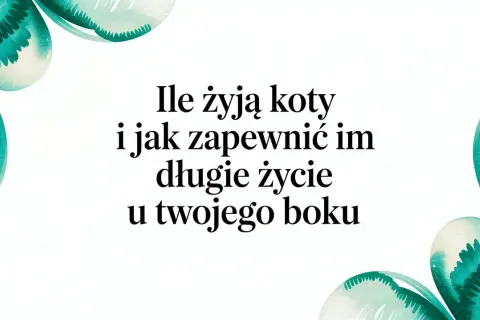 Ile żyją koty po sterylizacji? Dowiedz się, jak zapewnić im długie życie u Twojego boku.