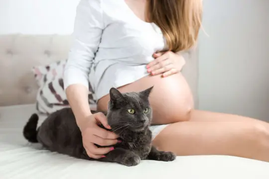 Ciężarna kobieta głaszcze kota. Warto wiedzieć, co to jest toksoplazmoza, by zadbać o zdrowie.