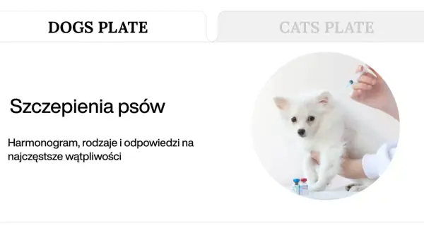 Szczepienia szczeniaka: weterynarz podaje zastrzyk białemu, puszystemu psu. Obok stoją fiolki z lekami.