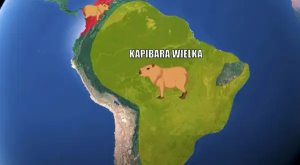 Mapa Ameryki Południowej z zaznaczonymi obszarami występowania kapibary wielkiej (zielony) i kapibary małej (czerwony).