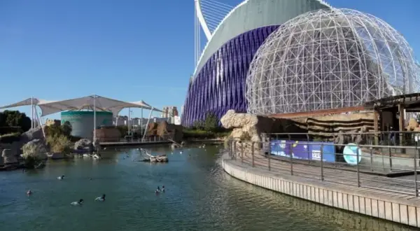 Oceanarium Walencja – Czego nie przegapić i jak zaoszczędzić na biletach