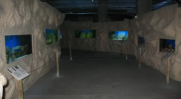 Oceanarium Warszawa - Gdzie zobaczyć morskie atrakcje i wystawy?