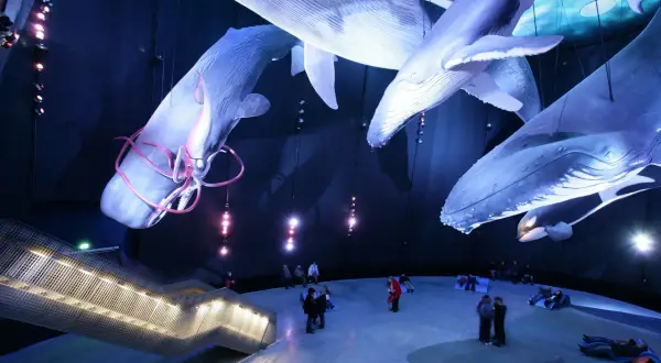 Kołobrzeg atrakcje dla dzieci: oceanarium, które zachwyci maluchy