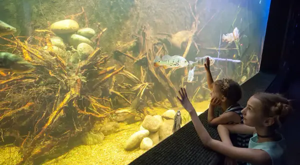 Oceanarium Zagnańsk - poznaj wyjątkowe atrakcje i godziny otwarcia