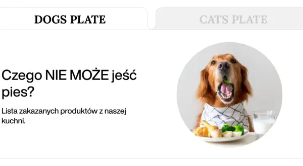 Złoty retriever z brokułem w pysku, obok talerz z jedzeniem i mleko. Temat: czego nie może jeść pies.