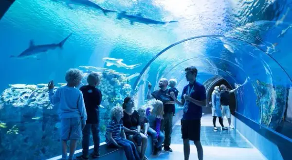 Oceanarium Bydgoszcz - co warto zobaczyć i dlaczego nie przegapić