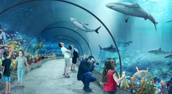 Podwodny tunel w oceanarium Niechorze, gdzie zwiedzający podziwiają rekiny i kolorowe ryby.