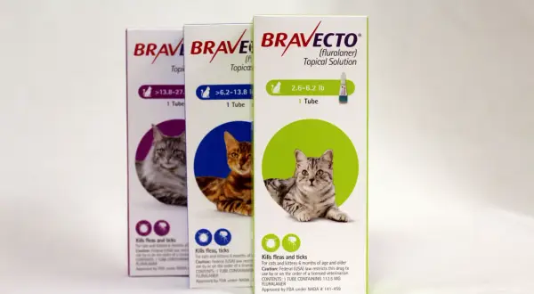 Trzy opakowania Bravecto dla kota, każde z wizerunkiem kota i informacją o ochronie przed pasożytami.